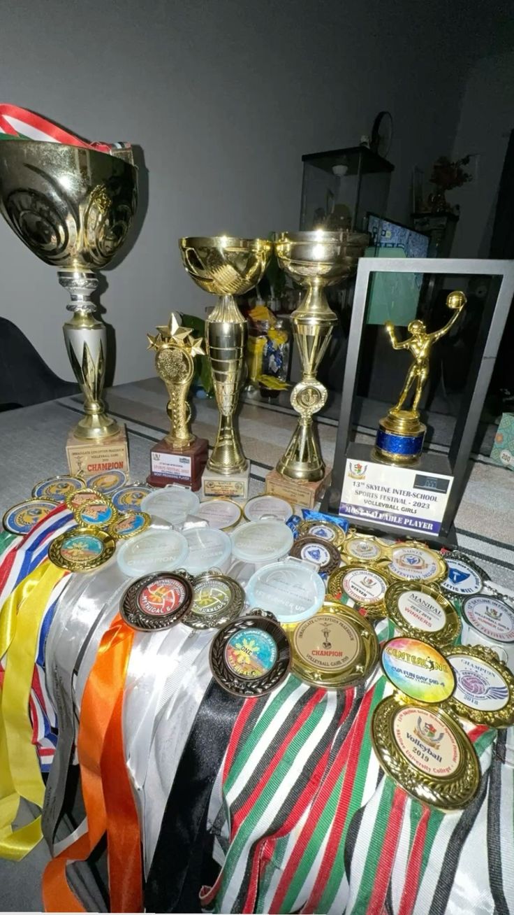 Achievements and Trophies